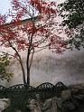 Suzhou_Gardens