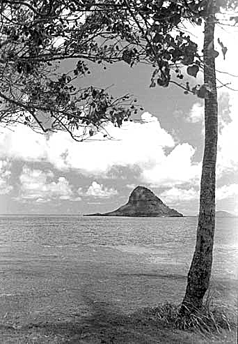 Vertical Chinaman's Hat