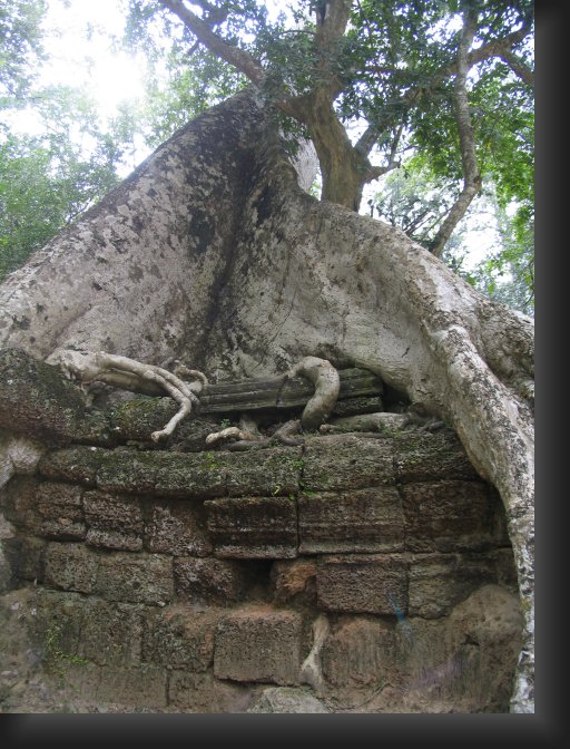 _MG_1605.JPG
