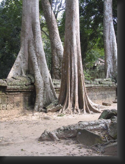 _MG_1617.JPG